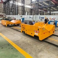 20 Tunnellata RGV Coil Cart